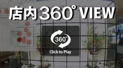 360view